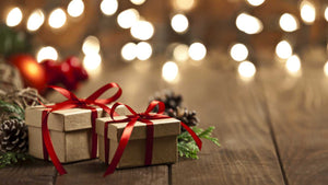 2020 Holiday Gift Guide